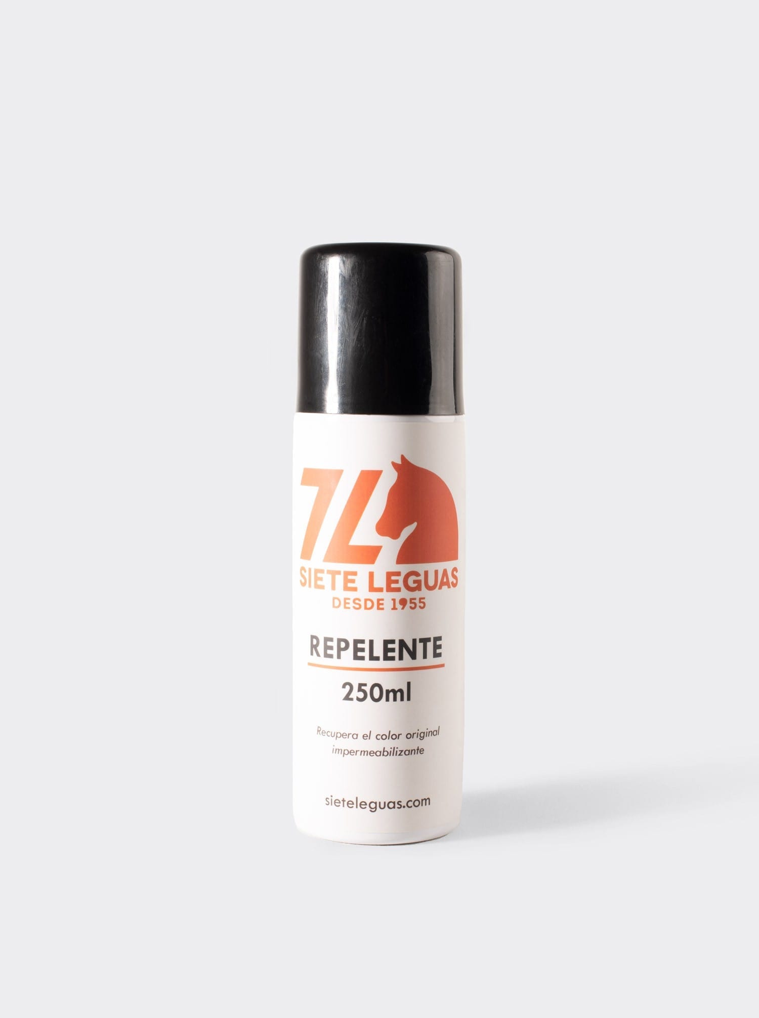 Suede and Nubuck Aerosol Repellent