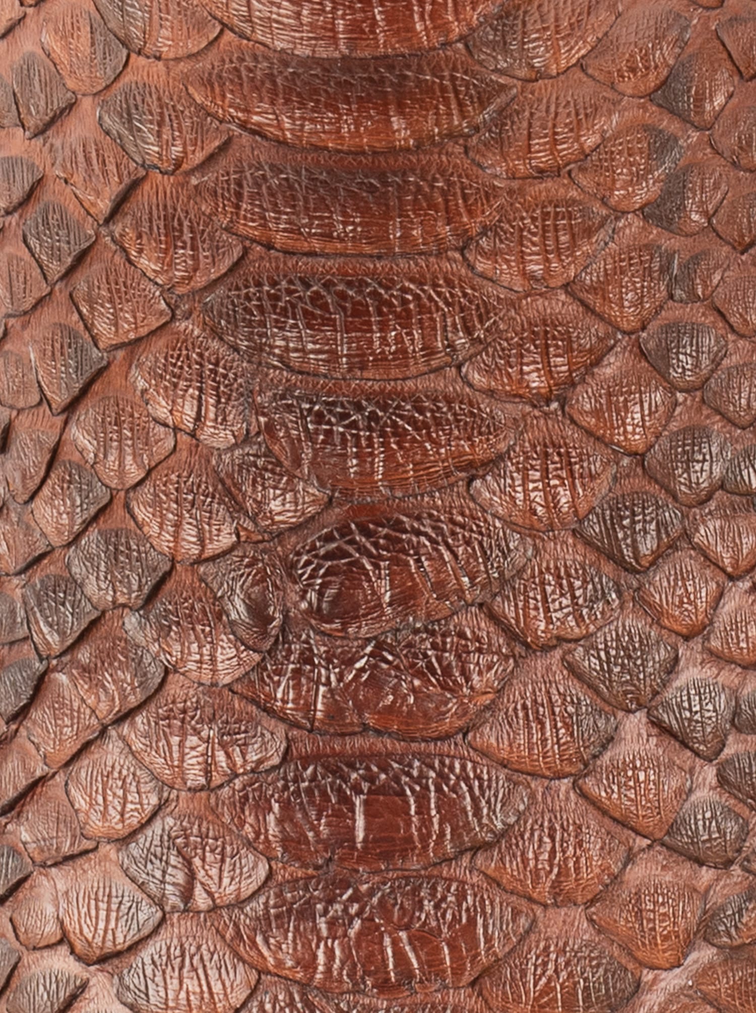 Bota Vaquera con Suela de Cuero en Piel Genuina de Pitón Caramel Estilo 1055