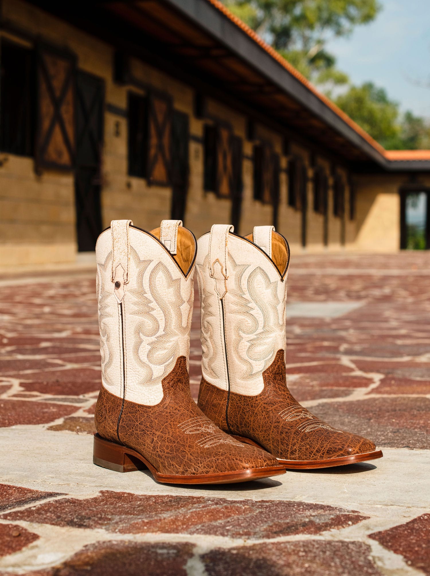 Rodeo Boot with Leather Sole in Imitation Leather Dragon Cognac Style 1555