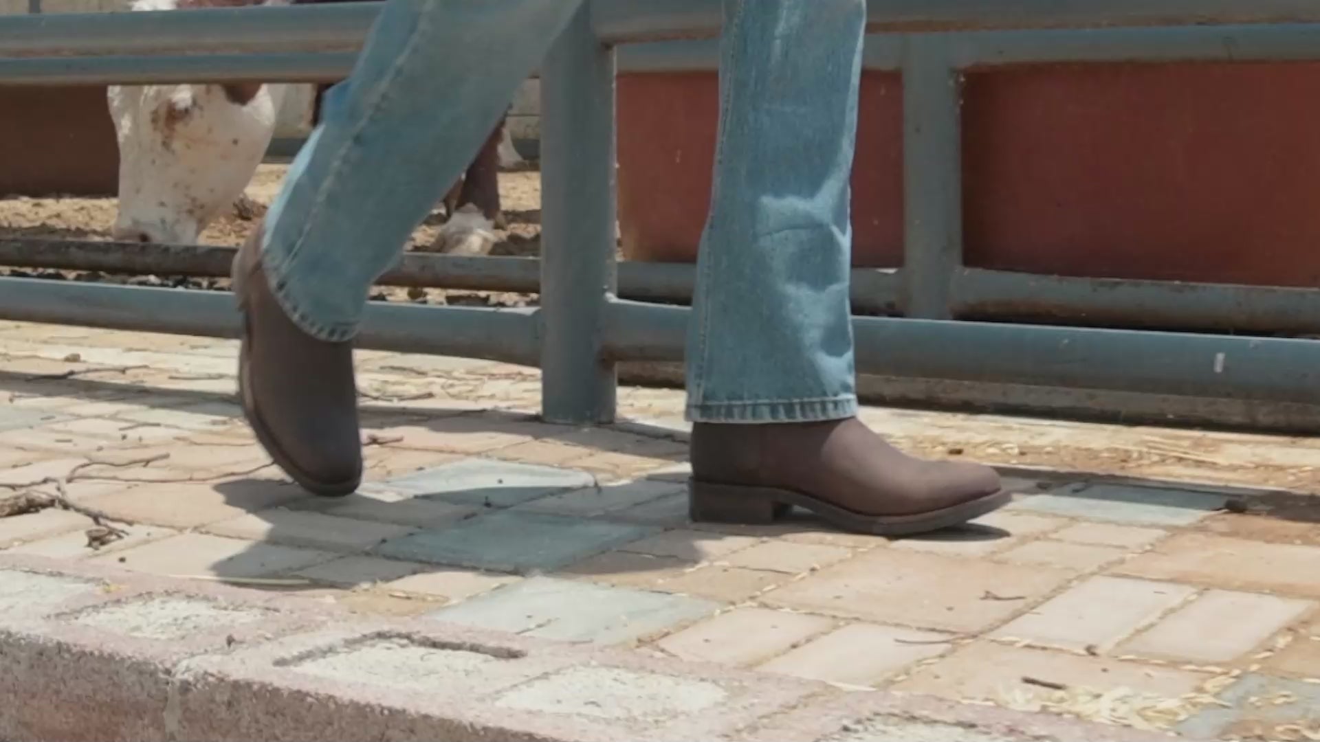 Roper Crazy Café Zip Boot Style 1677 | Siete Leguas MX – Siete